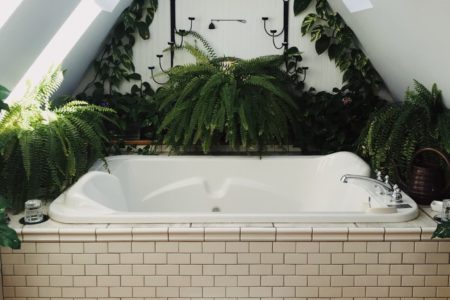 plantes salle de bain